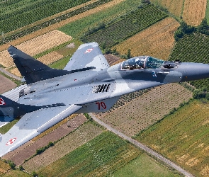 Myśliwiec MiG-29A, Pola, Samolot