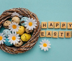 Gniazdo, Napis, Wielkanoc, Życzenia, Kwiaty, Pisanki, Stokrotki, Happy Easter