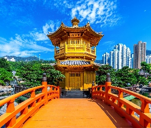 Golden Pavilion Chi Lin Nunnery Temple, Most, Świątynia, Chi Lin Nunnery, Hongkong, Ogród, Chiny, Diamond Hill