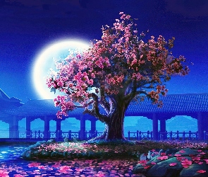 Drzewo, Księżyc, Kwitnące