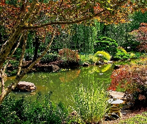Staw, Park, Lato, Ogród