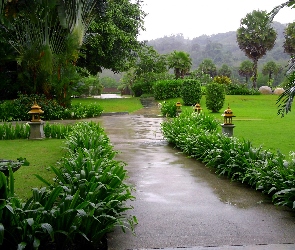 Park, Tajlandia, Zieleń, Aleja, Tropikalny
