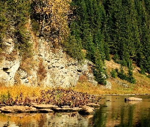 Las, Rzeka, Góry