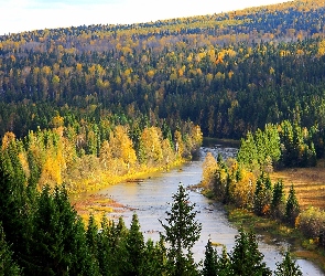 Rzeka, Wzgórza, Las