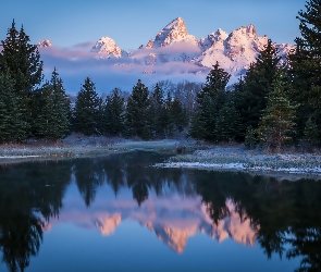 Stany Zjednoczone, Stan Wyoming, Drzewa, Rzeka Snake River, Góry Teton Range, Park Narodowy Grand Teton