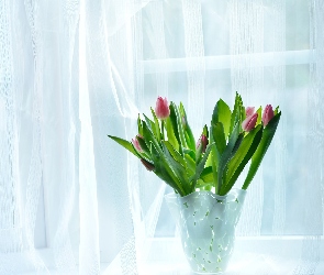 Wazon, Okno, Tulipany