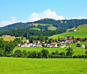 Sankt Gallen, Wzgórza, Miasteczko
