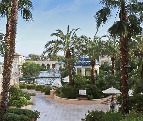 Hotel, Dziedziniec, Monako, Palmy, Parasole, Monte Carlo, Altana, Basen