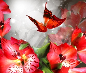 Czerwone, Alstremeria, Motyl, Kwiaty