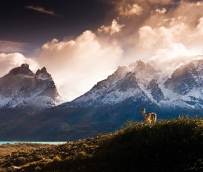 Góry, Lama, Chmury