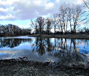 Drzewa, Chmury, Rzeka