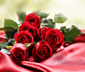 Bukiet, Tkanina, Czerwone Róże