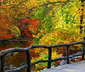 Rzeka, Park, Ogrodzenie, Drzewa, Jesień