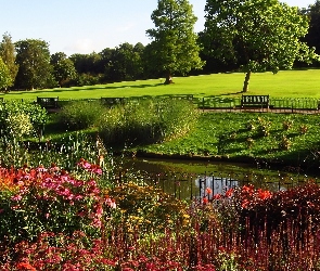 Ogród, Kwiaty, Ławki, Sadzawka, Park