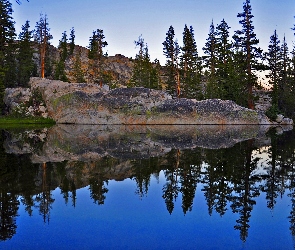 Skała, Lasy, Stan Kalifornia, Stany Zjednoczone, Park Narodowy Yosemite, Góry