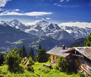 Szwajcaria, Dom, Góry, Dolina