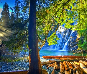 Las, Wodospad, HDR, Kłody, Wschód Słońca, USA, Rzeka