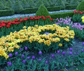 Ogród, Kwiaty, Flora, Hortulus