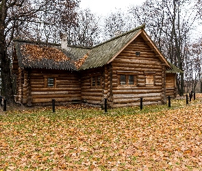 Park, Dom, Jesień