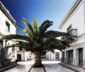 Domy, Palma, Ulica