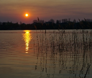 Jezioro, Księżyc, Noc