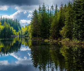 Las, Lato, Jezioro