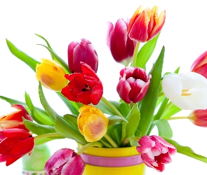 Kwiaty, Bukiet, Wazon, Kolorowe Tulipany