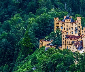 Zamek, Niemcy, Góry, Las, Hohenschwangau