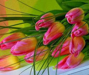 Tulipany, Bukiet