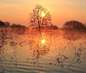 Mgła, Wschód słońca, Jezioro