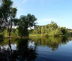 Rzeka, Drzewa