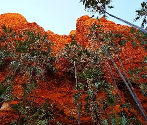 Góry, Palmy, Skały