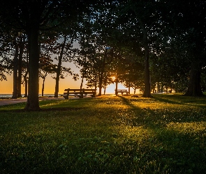 Park, Zachód Słońca, Trawnik, Ławki