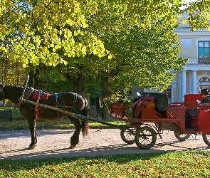 Dworek, Kobieta, Koń, Bryczka