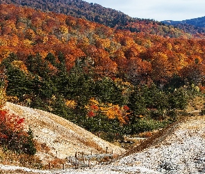 Jesień, Las, Wzgórza, Góry