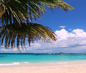 Plaża, Chmury, Palmy, Morze, Lato