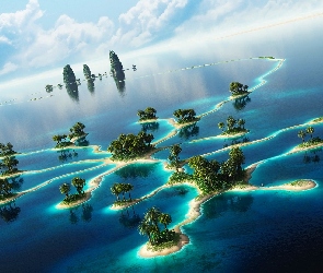 Palmy, Wyspy, Ocean, Pacyfik