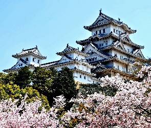 Drzewa, Kwitnące, Zamek Białej Czapli, Zamek Himeji, Miejscowość Himeji, Japonia