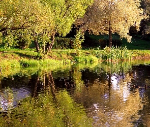 Jesień, Rzeka, Park