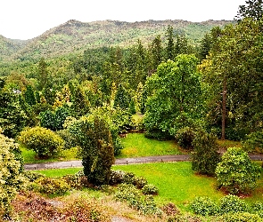 Szkocja, Góry, Ogród Botaniczny, Argyll, Benmore