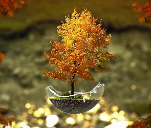 Fantasy, Bonsai, Drzewko, Jesień, Grafika
