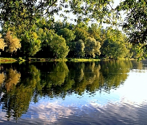Kaczki, Pływające, Park, Rzeka