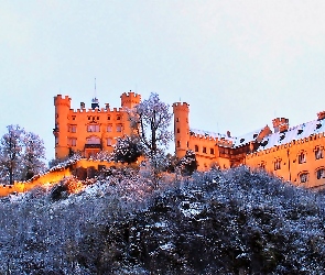 Zamek, Świt, Zima, Drzewa, Hohenschwangau