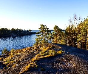 Skały, Las, Morze
