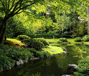 Zieleń, Krzewy, Park, Staw