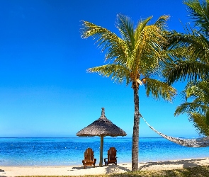 Plaża, Tropiki, Palmy, Hamak, Ocean