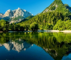 Kaczki, Drzewa, Jezioro, Góry
