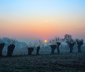 Wschód słońca, Wierzby