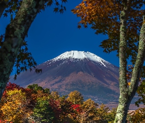 Fuji, Wulkan, Japonia, Drzewa, Góra