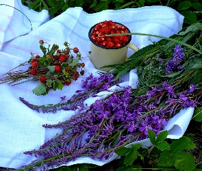 Obrus, Kubek, Poziomki, Kwiaty